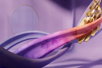 A Teams background with a large pink lotus flower with golden fish swimming out of it